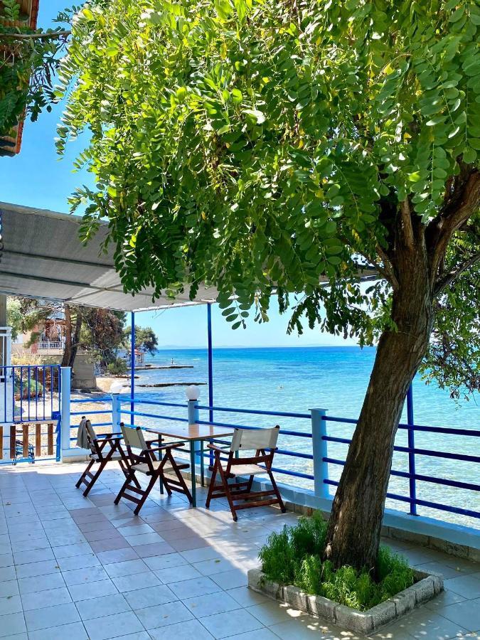 Manolis Studios Thassos Скала-Каллирахис Экстерьер фото